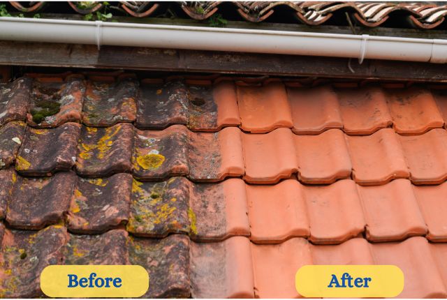 Best Roof Cleaning Service in Tampa