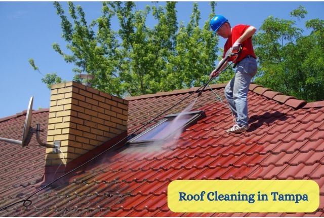 Roof Cleaning Tampa