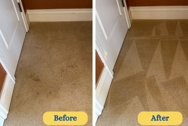 Rug Cleaning Tampa